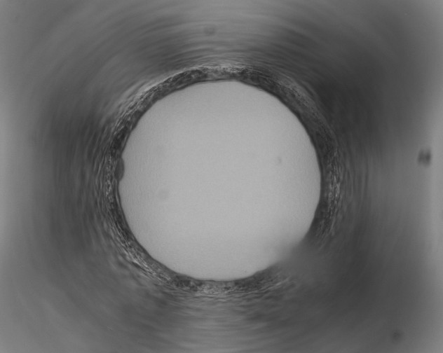 X0000114700773200912021107