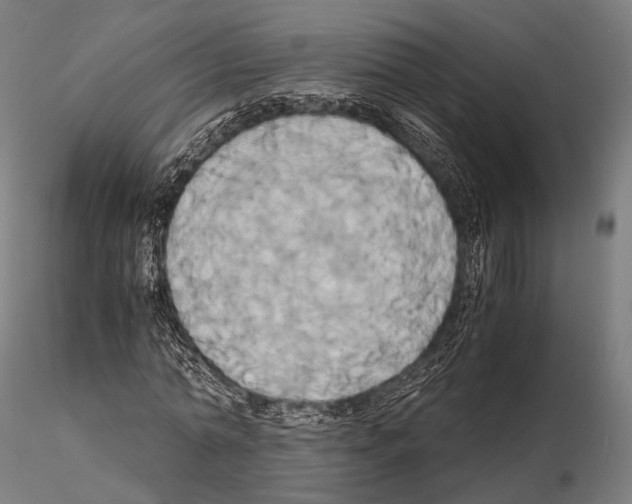 X0000114700774200912021107