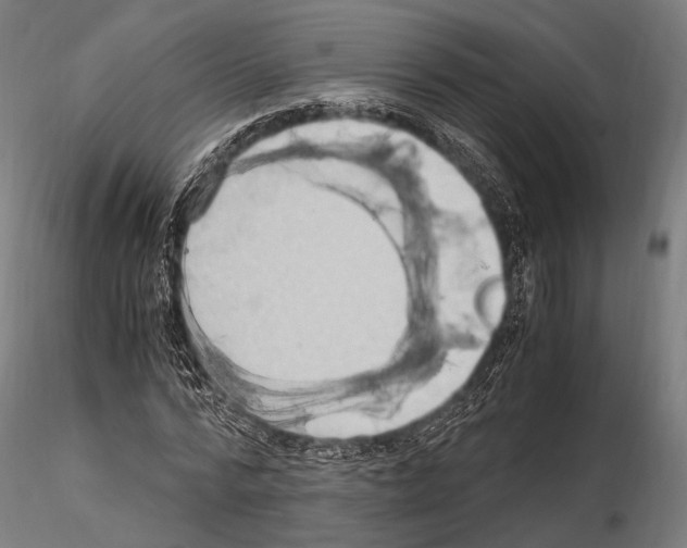 X0000114700776200912021107