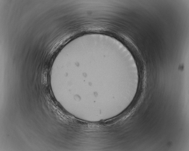 X0000114700777200912021107