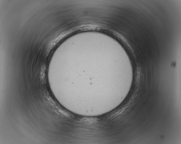 X0000114700778200912021107