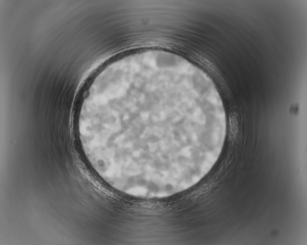 X0000114700780200912021107