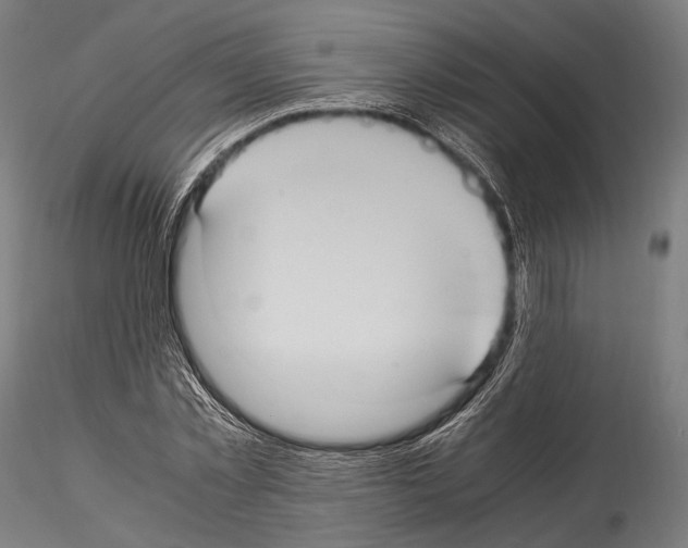 X0000114700781200912021107