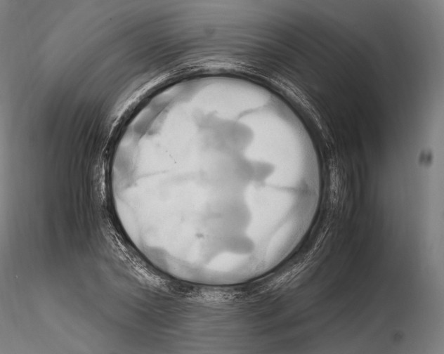 X0000114700782200912021107