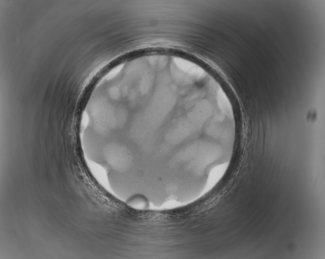 X0000114700783200912021107