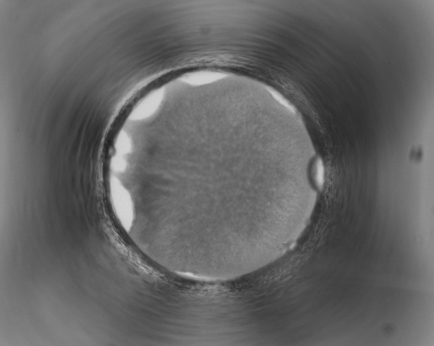 X0000114700784200912021107