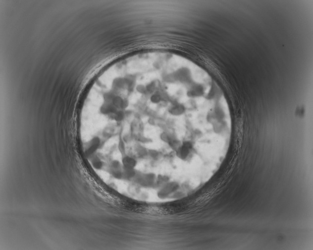 X0000114700787200912021107