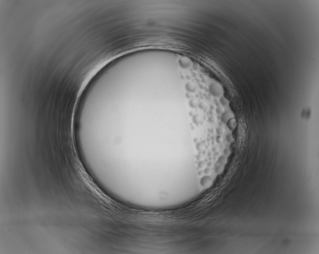 X0000114700788200912021107