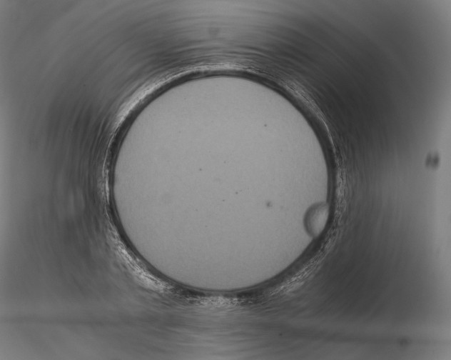 X0000114700789200912021107