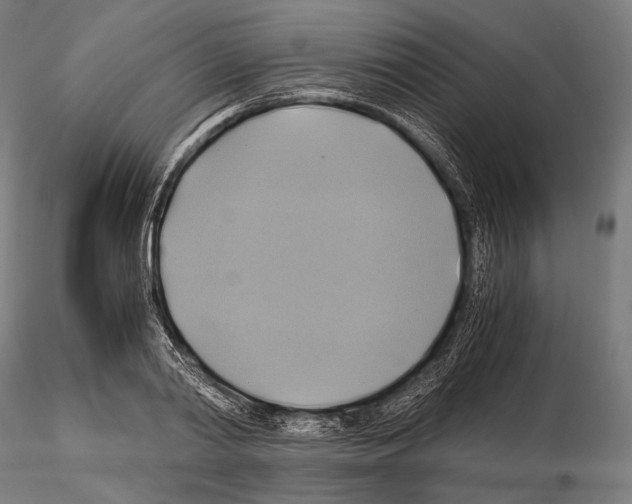 X0000114700790200912021107