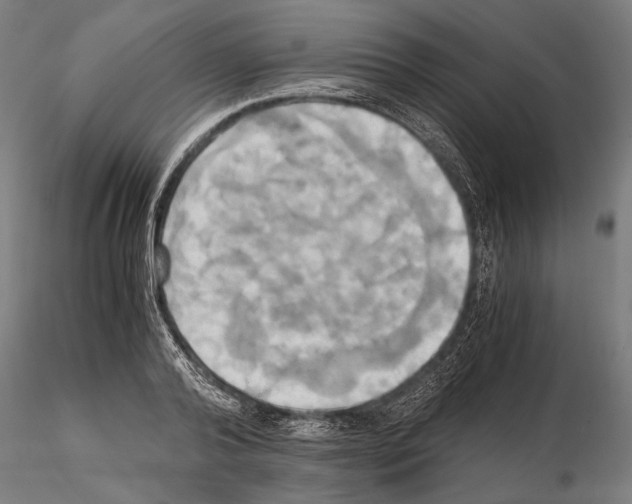 X0000114700792200912021107