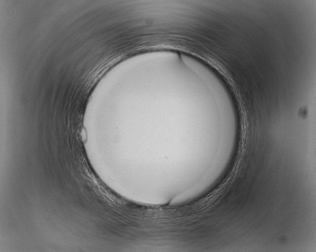 X0000114700793200912021107