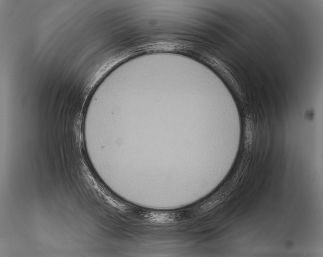 X0000114700794200912021107