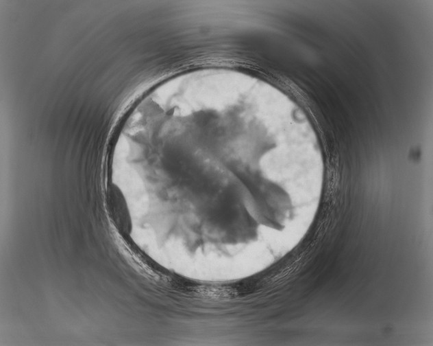 X0000114700795200912021107