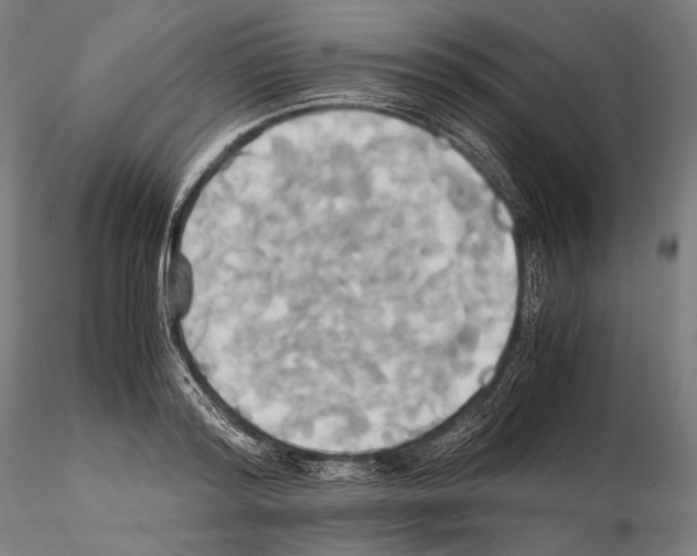 X0000114700796200912021107