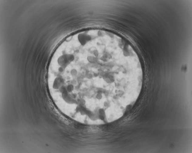 X0000114700799200912021107