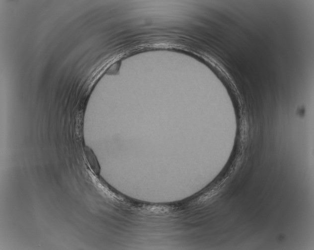 X0000114700801200912021107