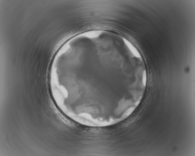 X0000114700803200912021107