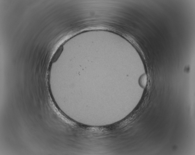 X0000114700805200912021107