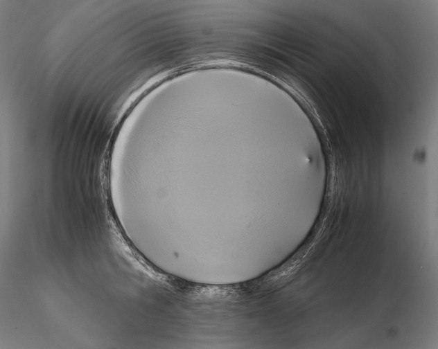 X0000114700806200912021107