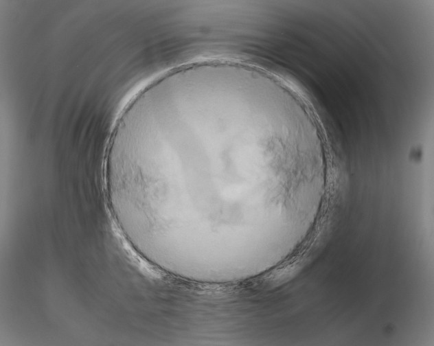 X0000114700807200912021106