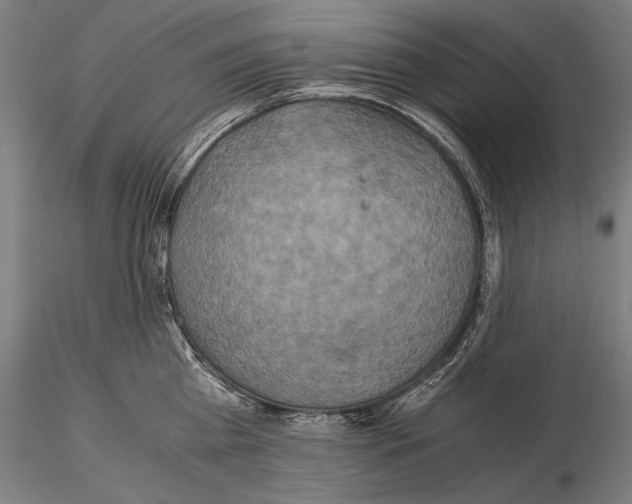 X0000114700809200912021106