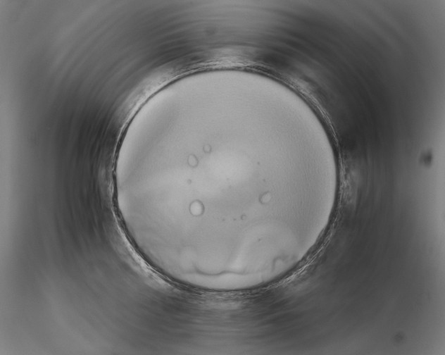 X0000114700810200912021106