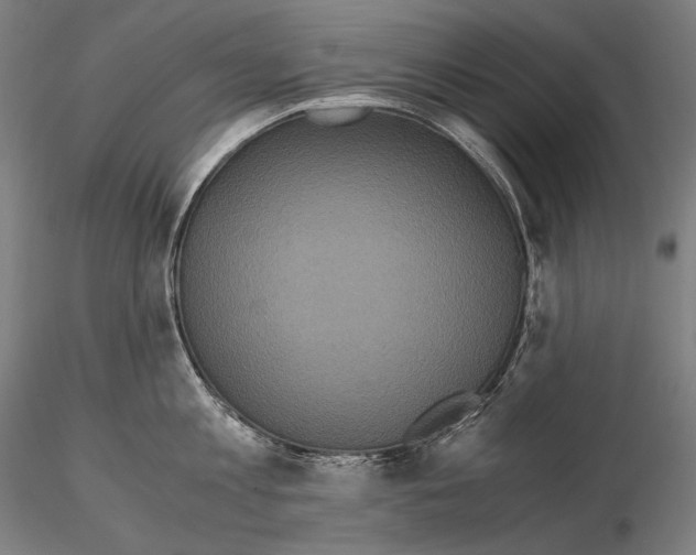 X0000114700813200912021106