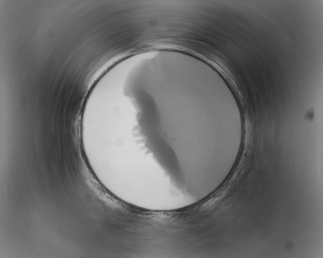 X0000114700814200912021106