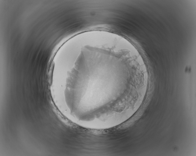 X0000114700816200912021106