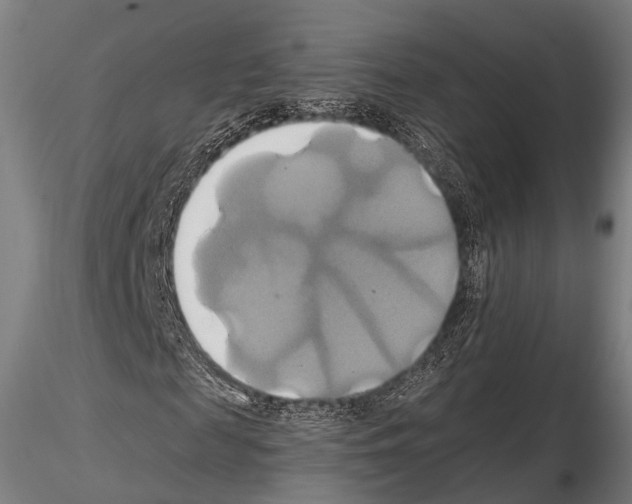 X0000114700817200912021106