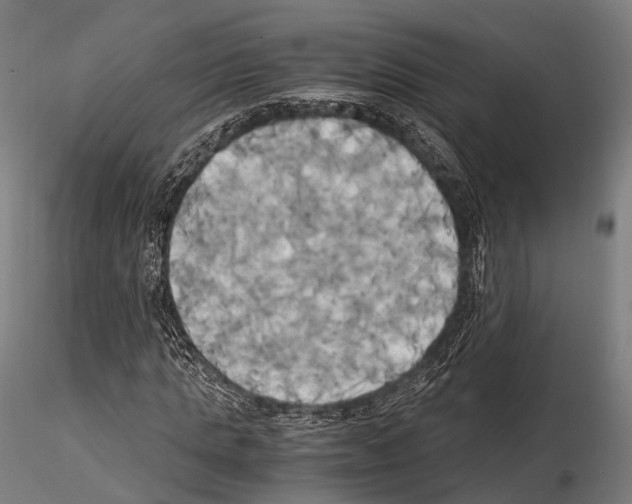 X0000114700821200912021106