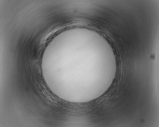 X0000114700824200912021106