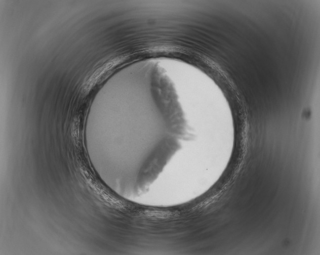 X0000114700825200912021106