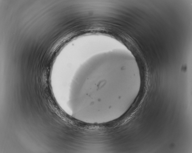 X0000114700826200912021106