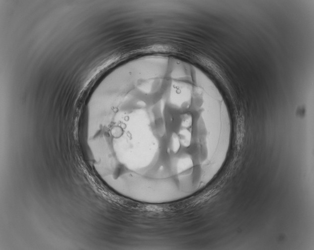 X0000114700827200912021106