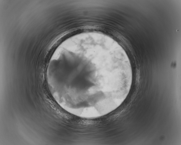 X0000114700829200912021106