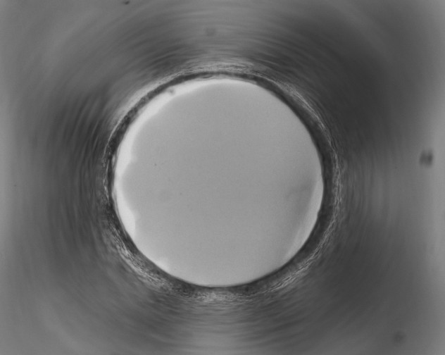 X0000114700830200912021106