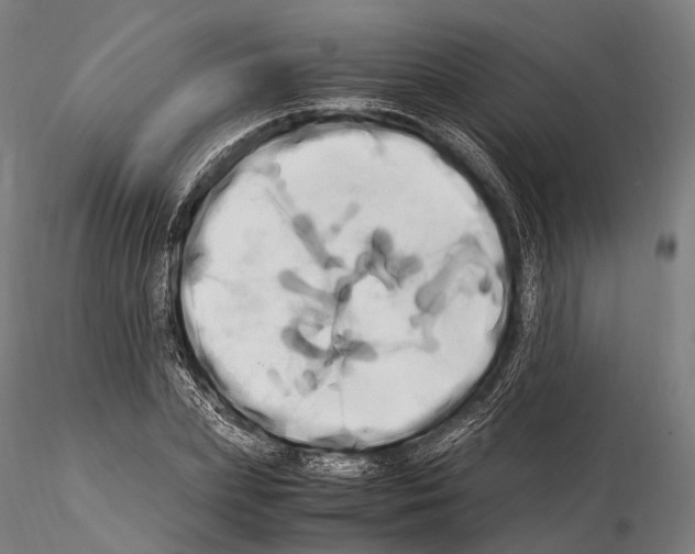 X0000114700831200912021106