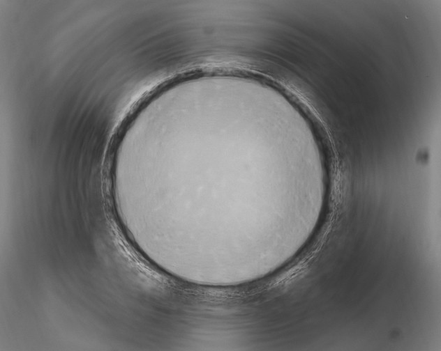 X0000114700832200912021106