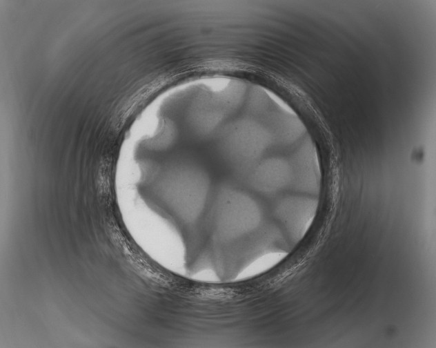 X0000114700833200912021106