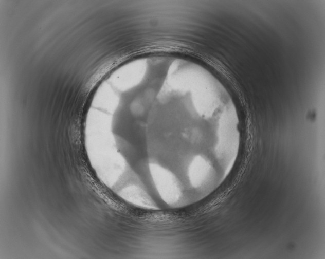 X0000114700834200912021106