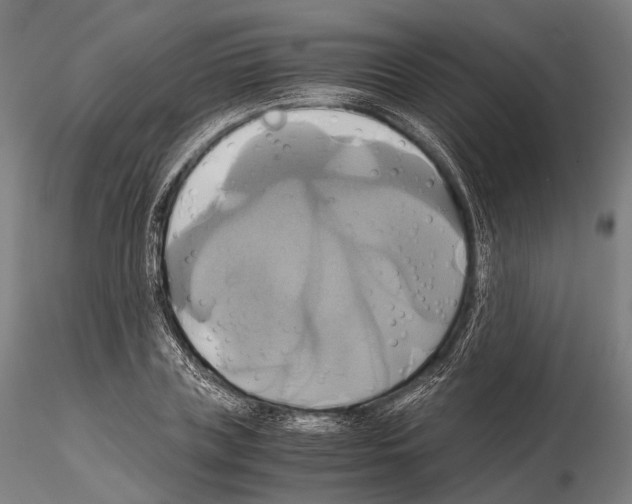 X0000114700835200912021106