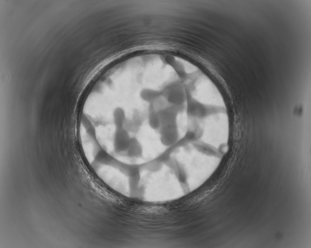 X0000114700837200912021106