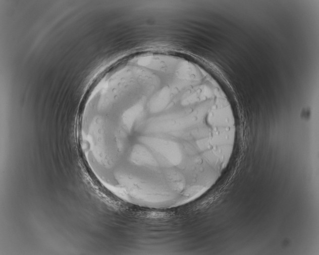 X0000114700839200912021106