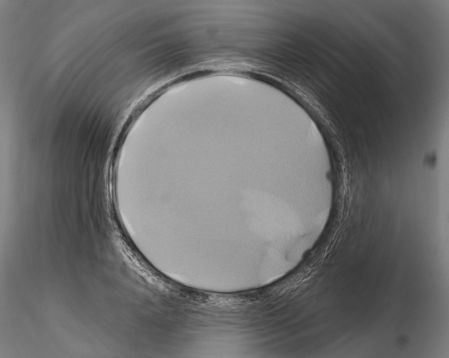 X0000114700840200912021106