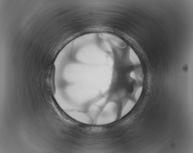 X0000114700841200912021106