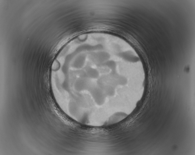 X0000114700842200912021106