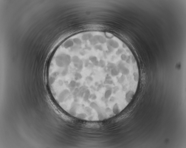 X0000114700843200912021106