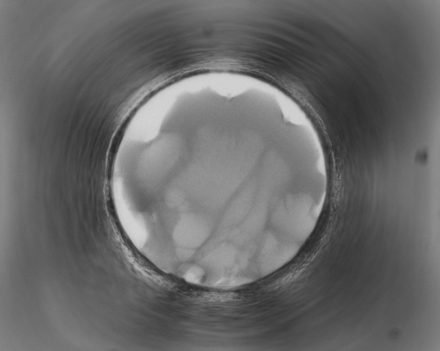 X0000114700845200912021106